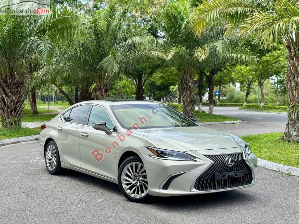 Hình ảnh số 2
