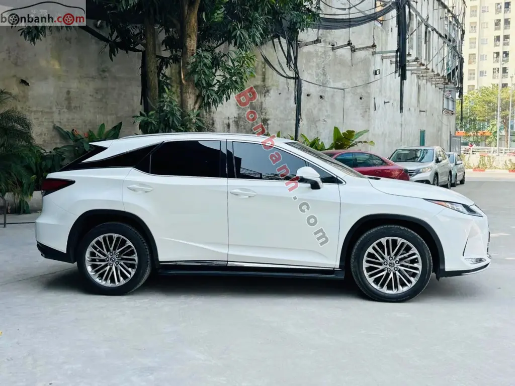 Hình ảnh số 6