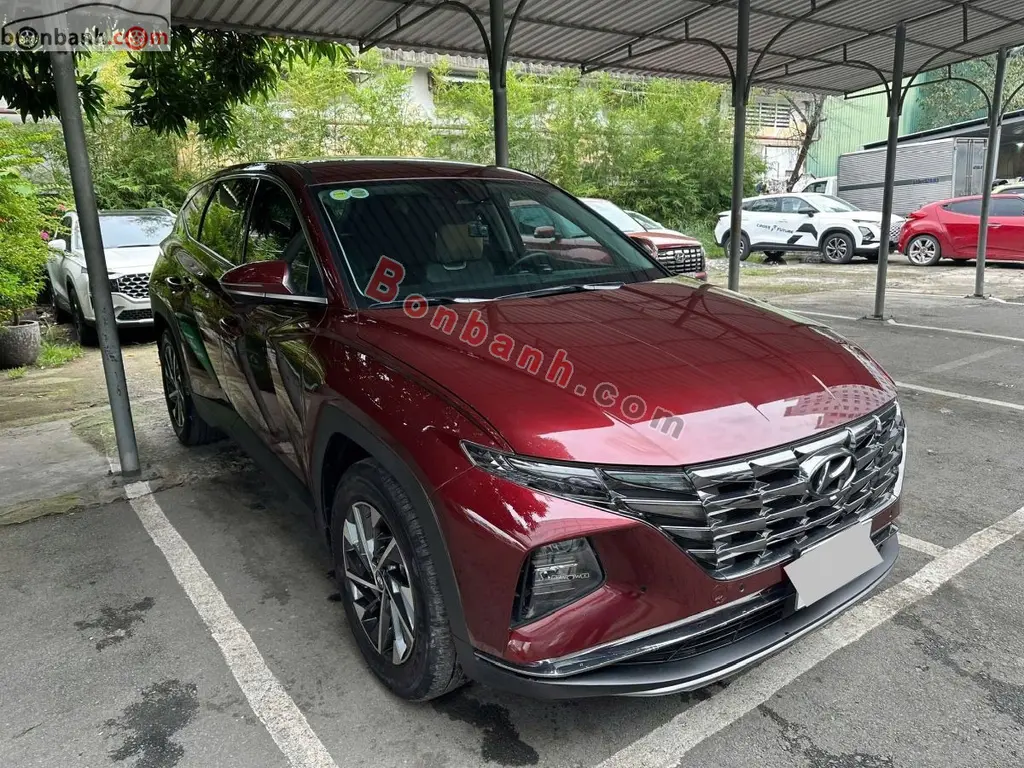 Hình ảnh số 2