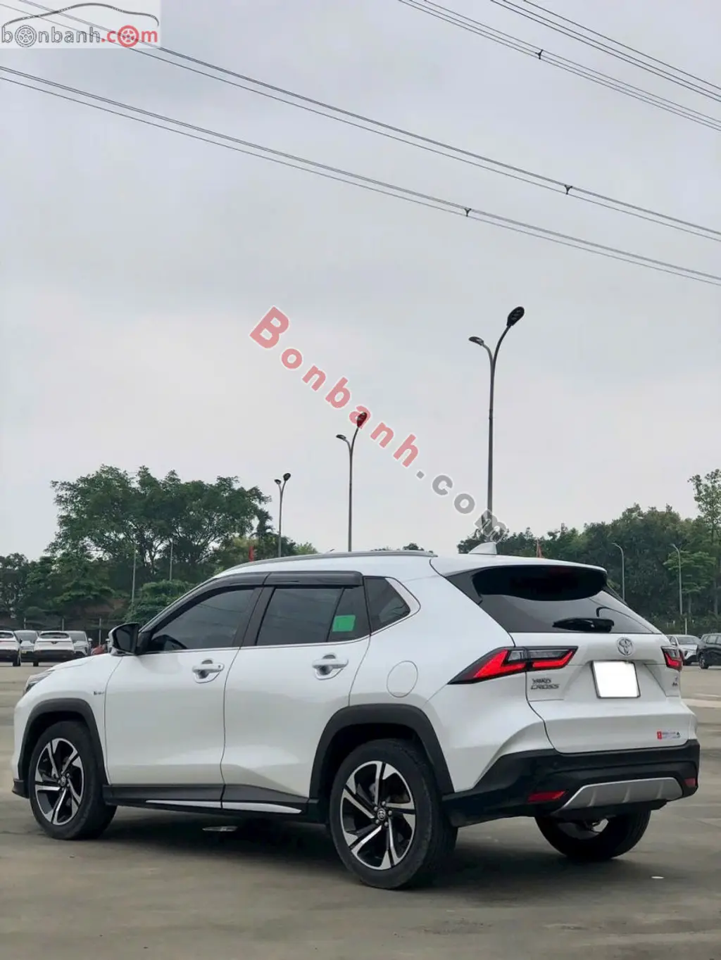 Hình ảnh số 8