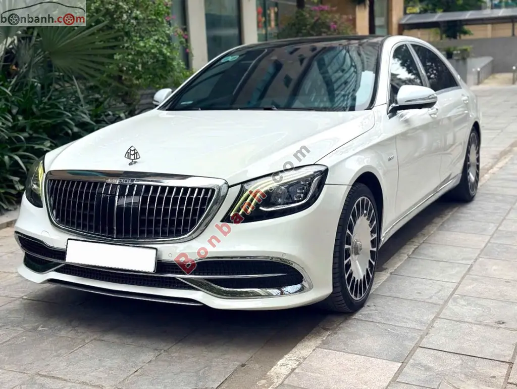 Hình ảnh số 2