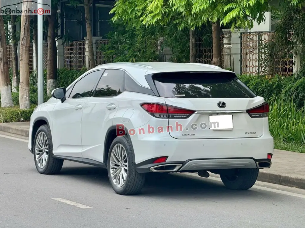 Hình ảnh số 4