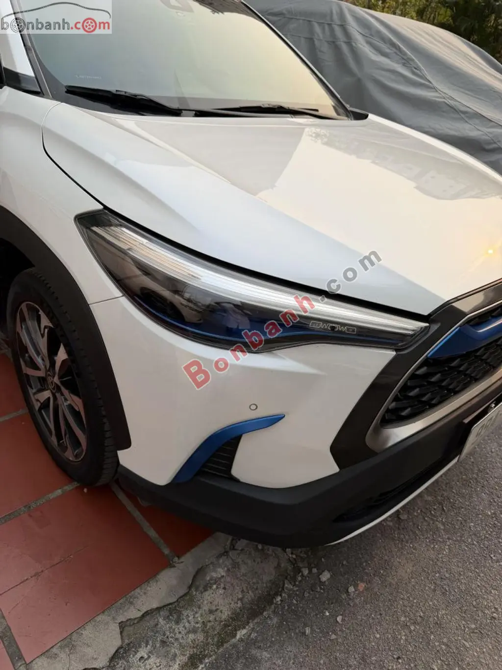 Hình ảnh số 2