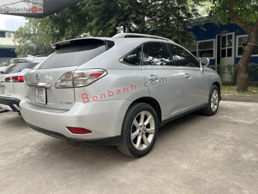 Hình ảnh số 2