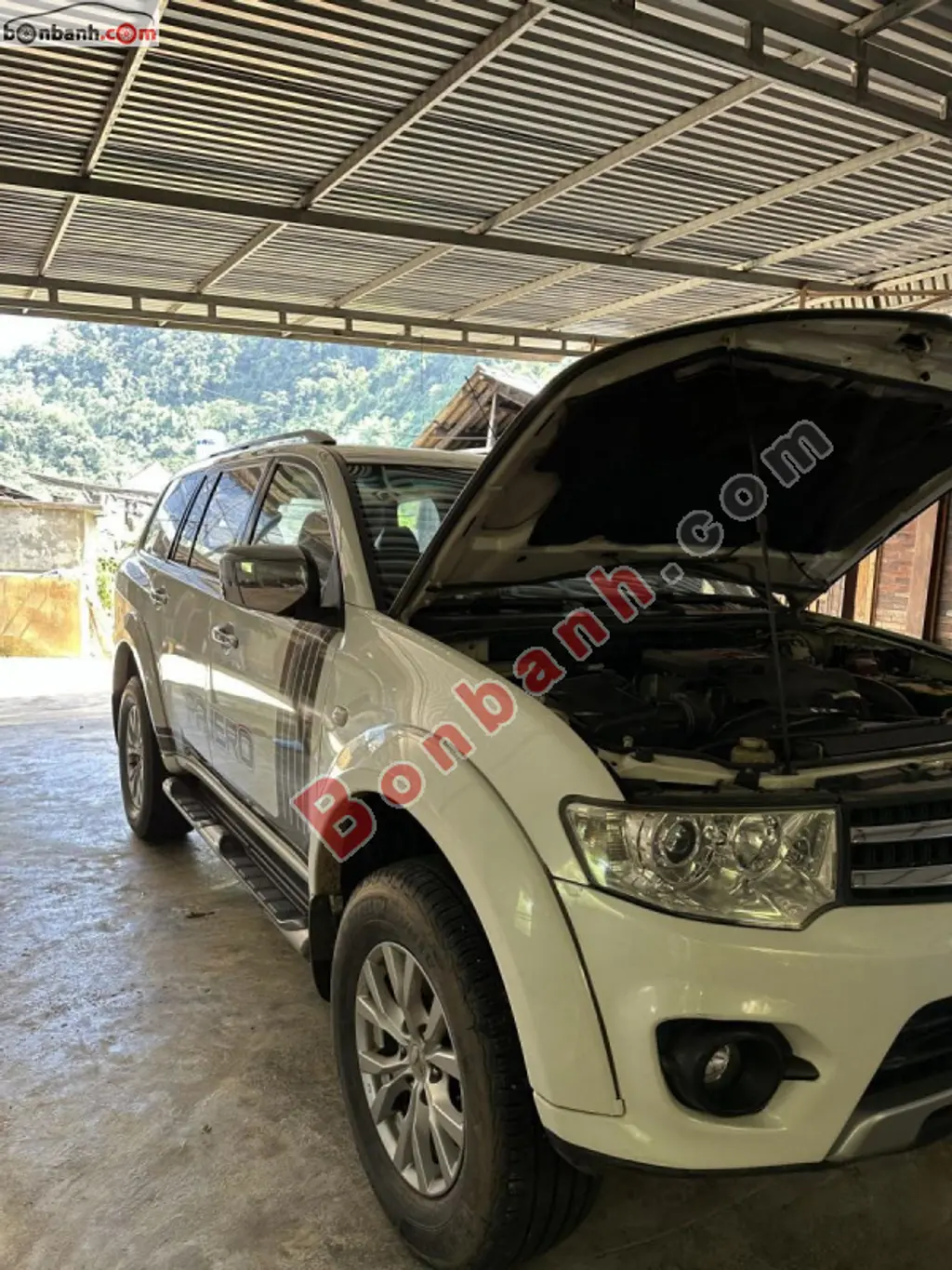 Hình ảnh số 2