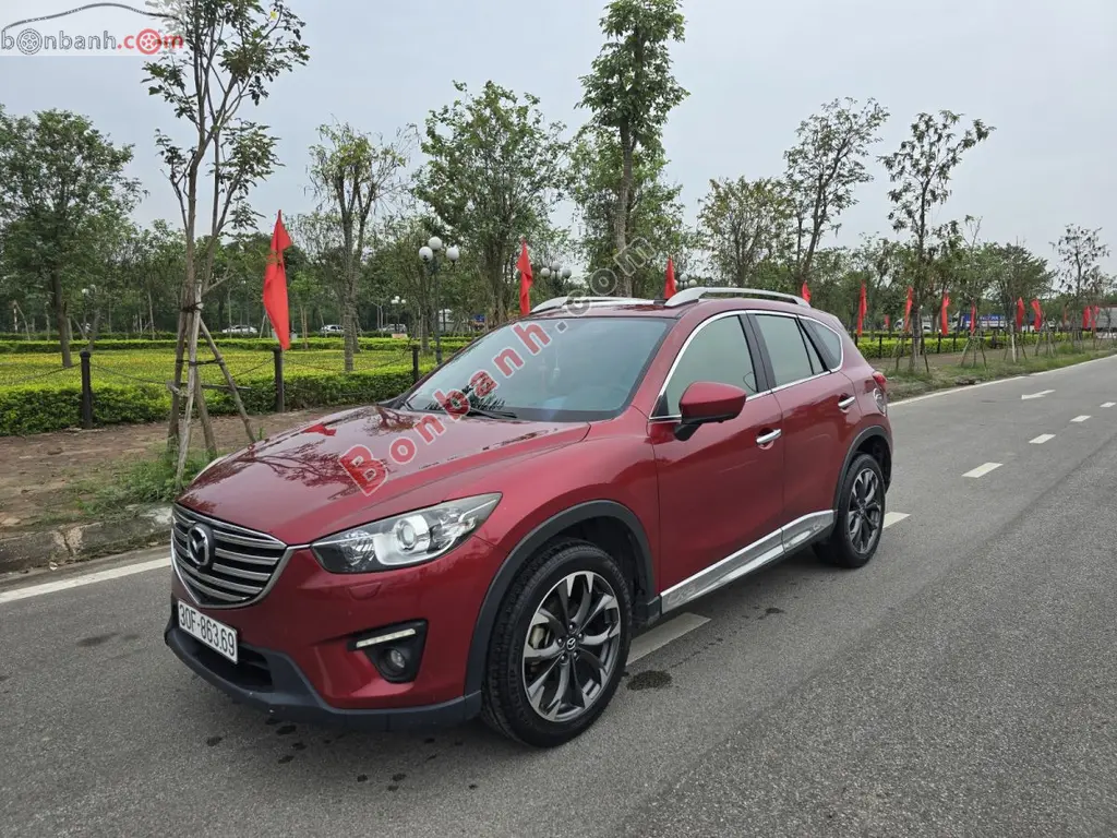 Hình ảnh số 2