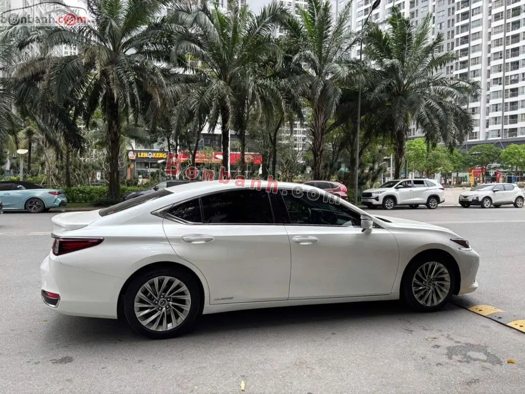 Hình ảnh số 2