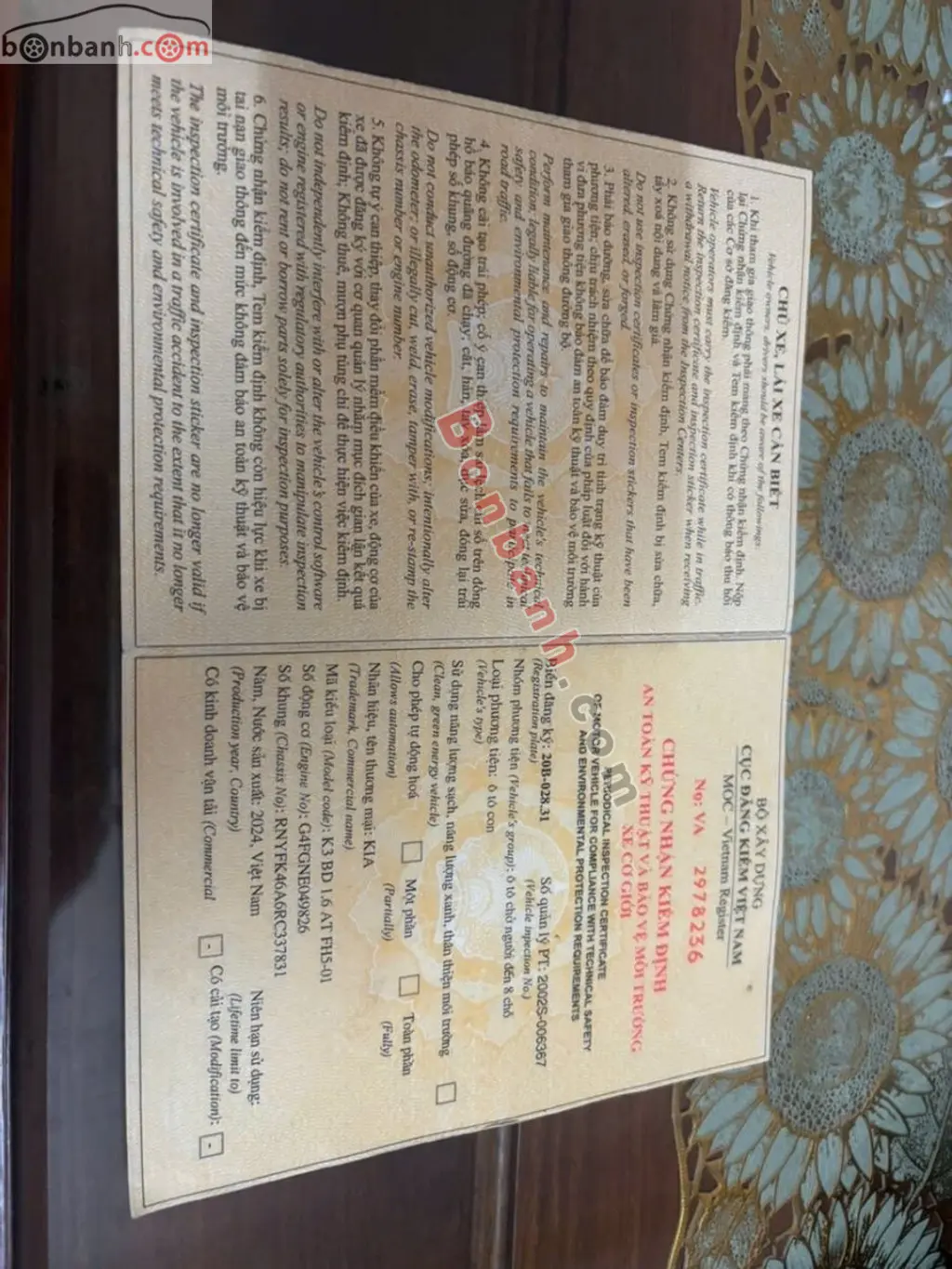 Hình ảnh số 5