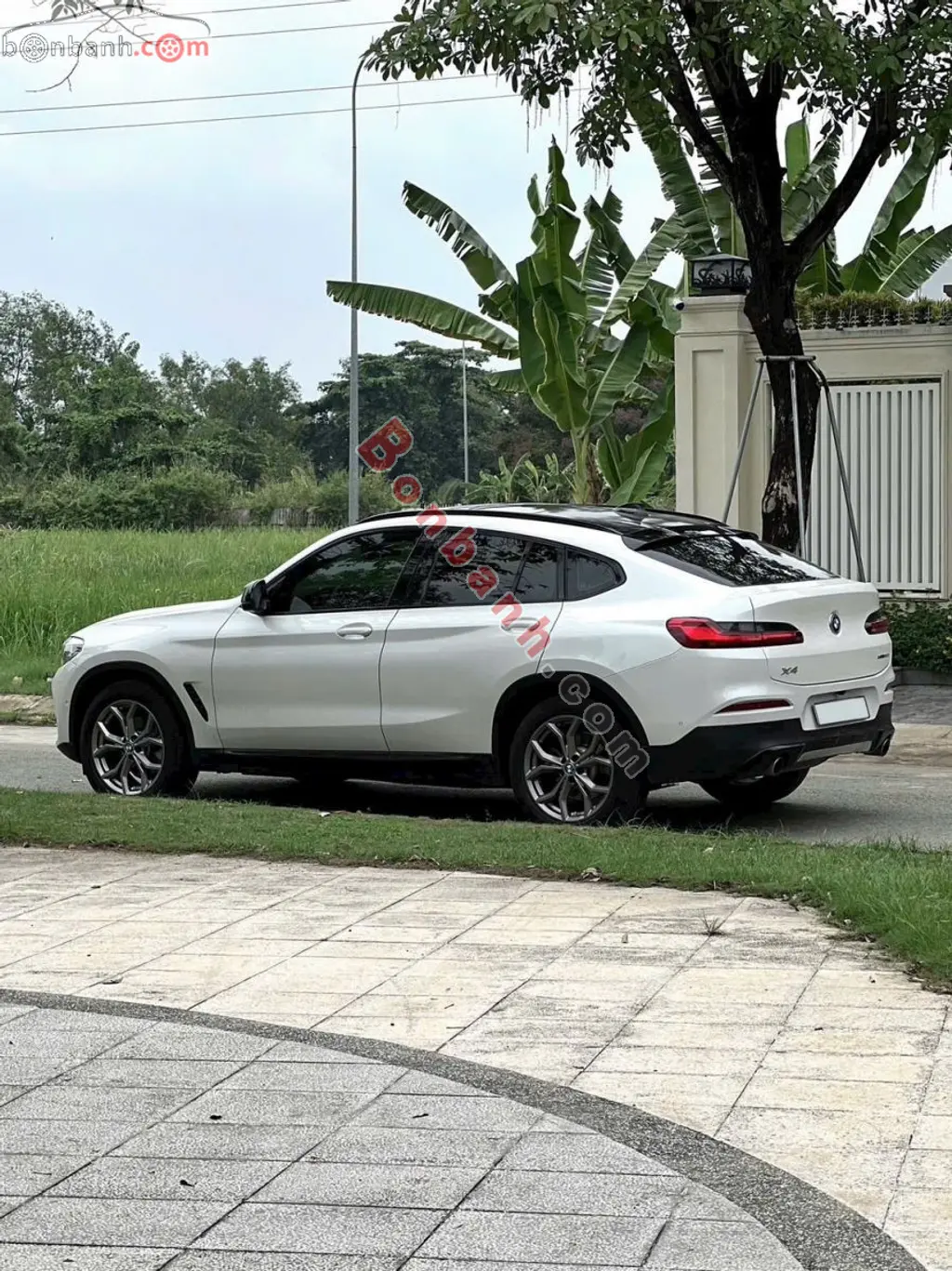 Hình ảnh số 2