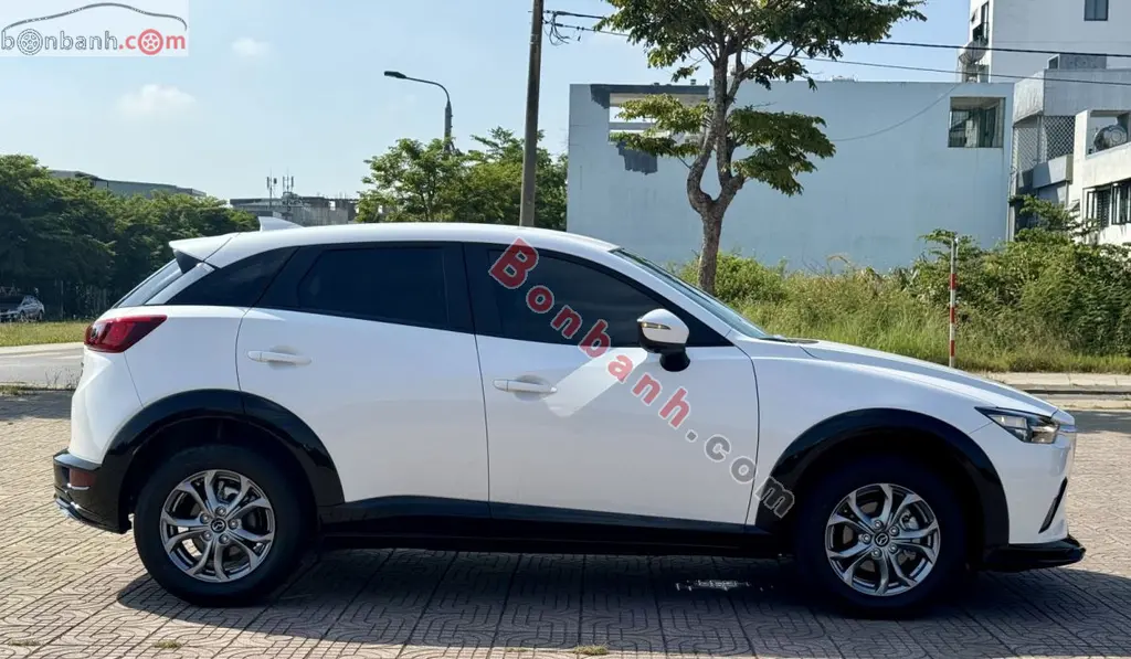 Hình ảnh số 3