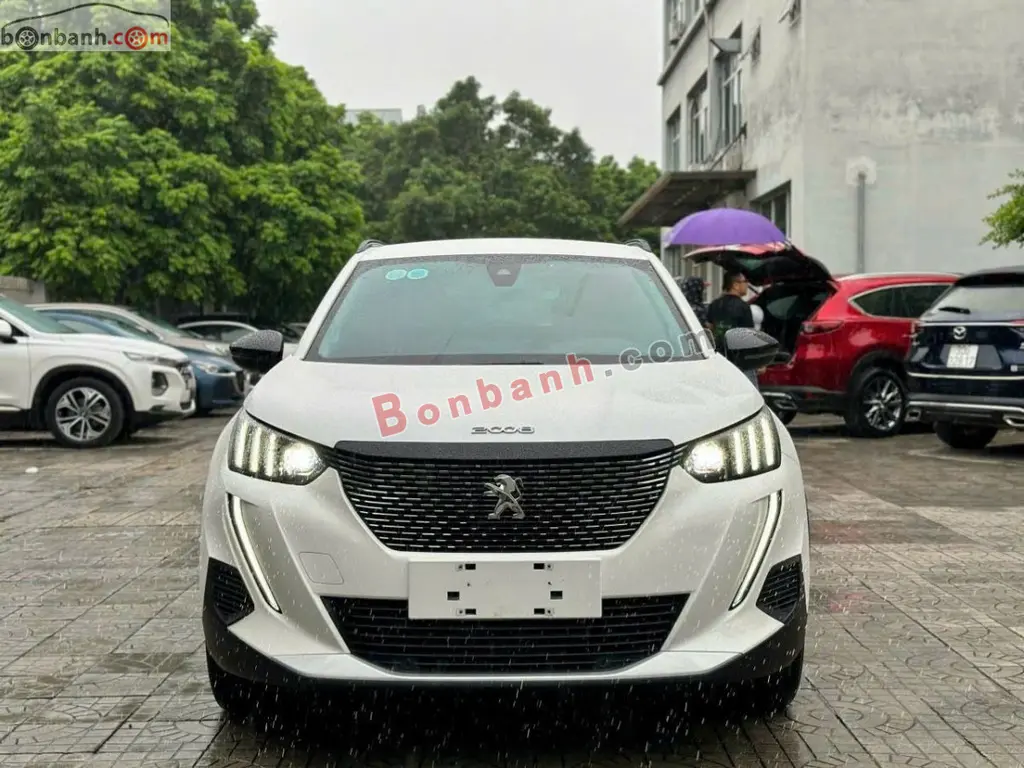 Hình ảnh số 2