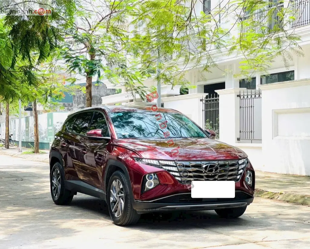 Hình ảnh số 2