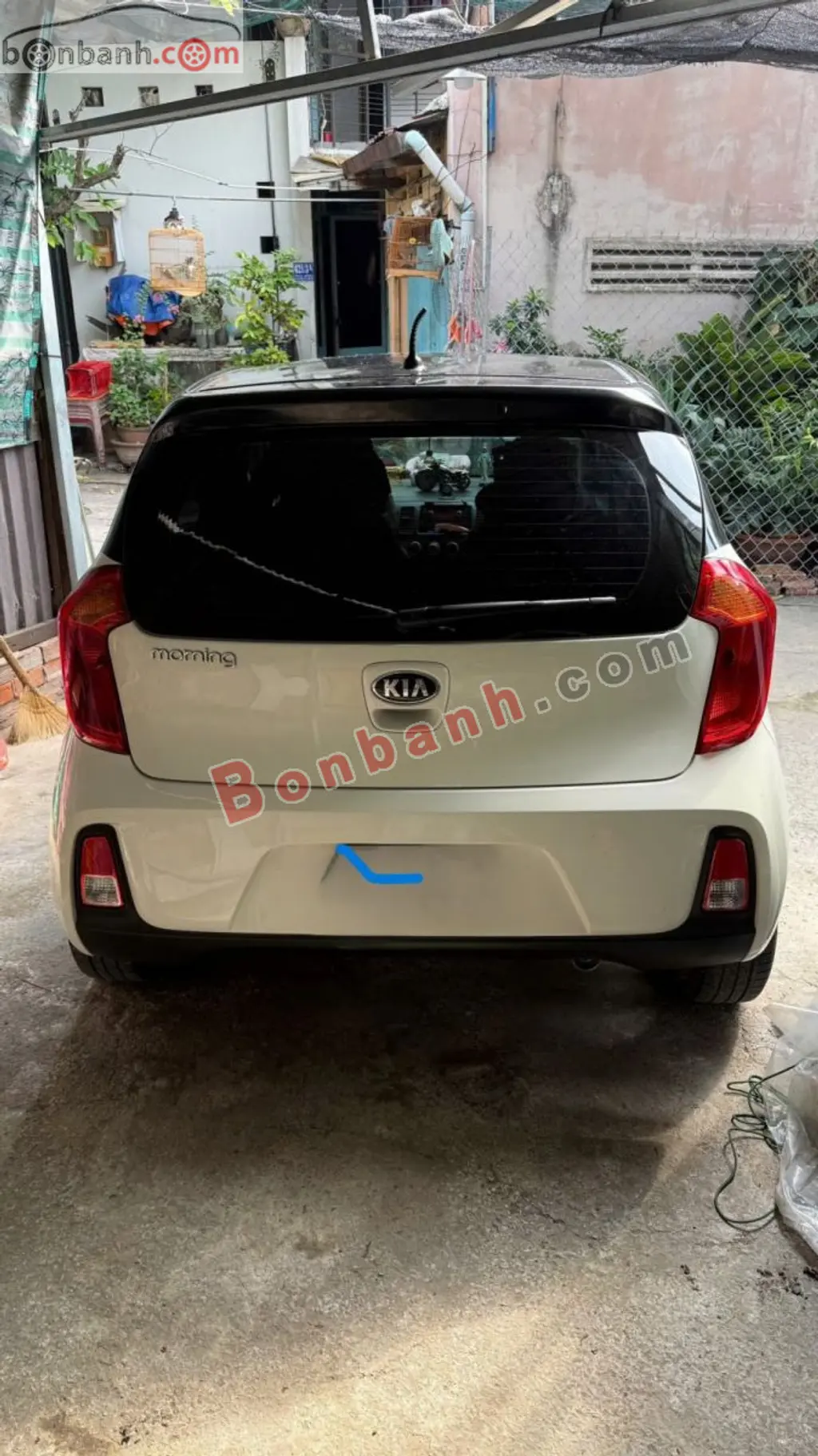 Hình ảnh số 3