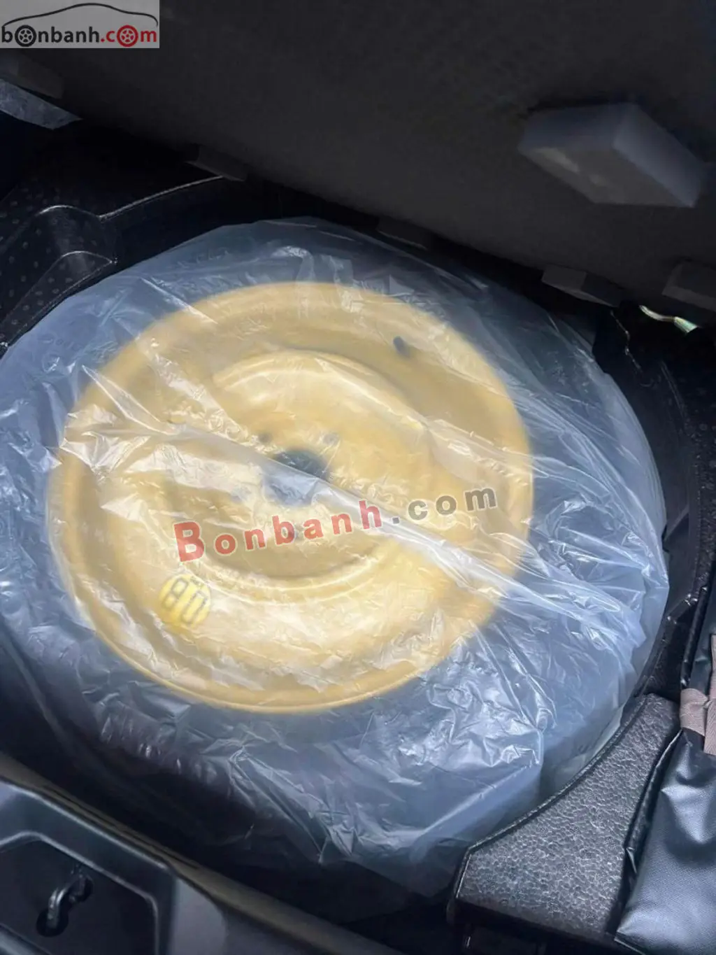 Hình ảnh số 10