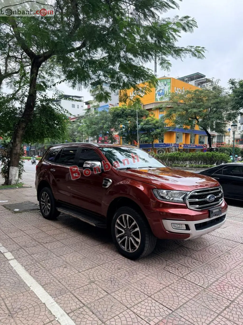 Hình ảnh số 2