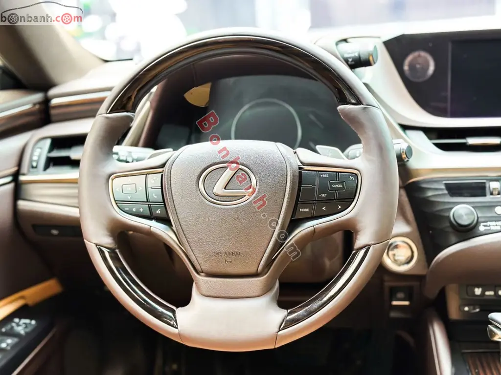 Hình ảnh số 5