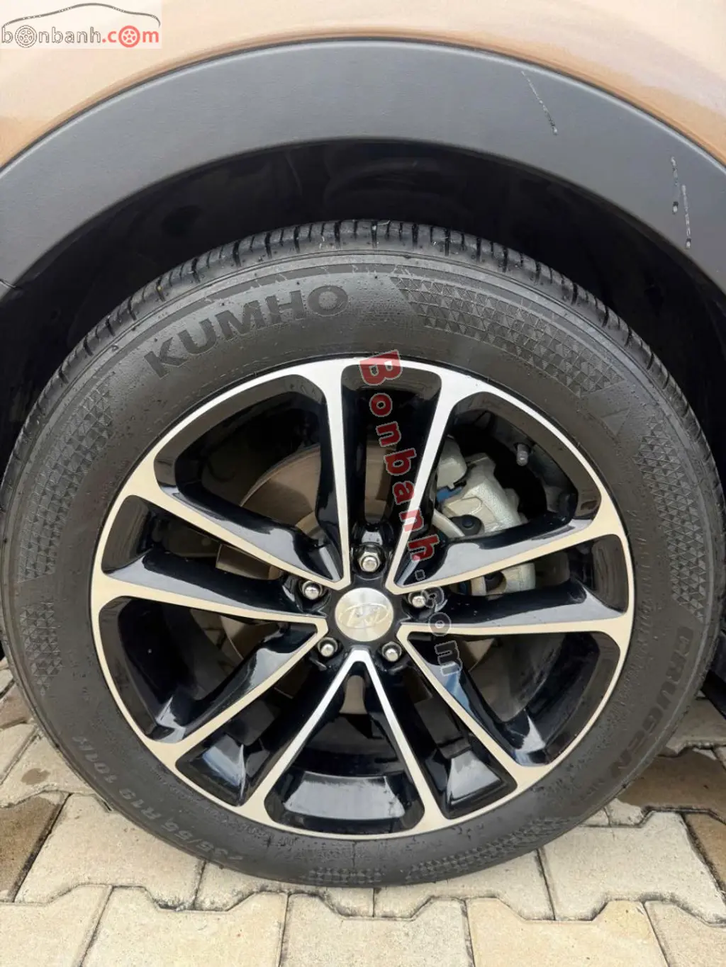 Hình ảnh số 10