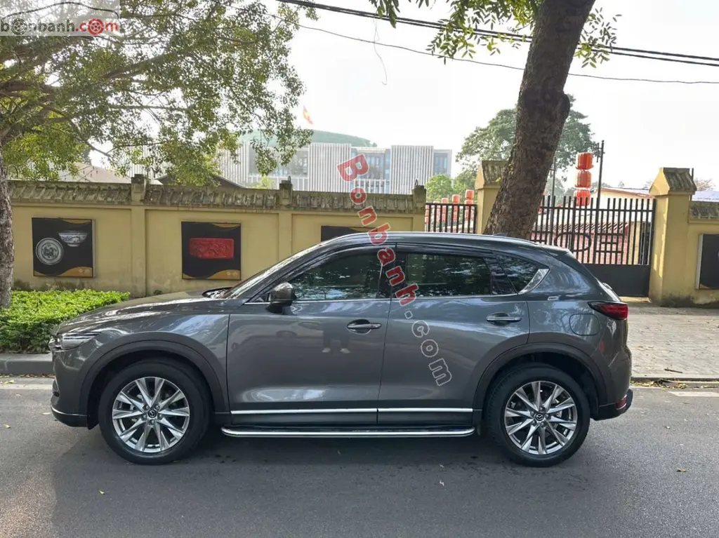 Hình ảnh số 4
