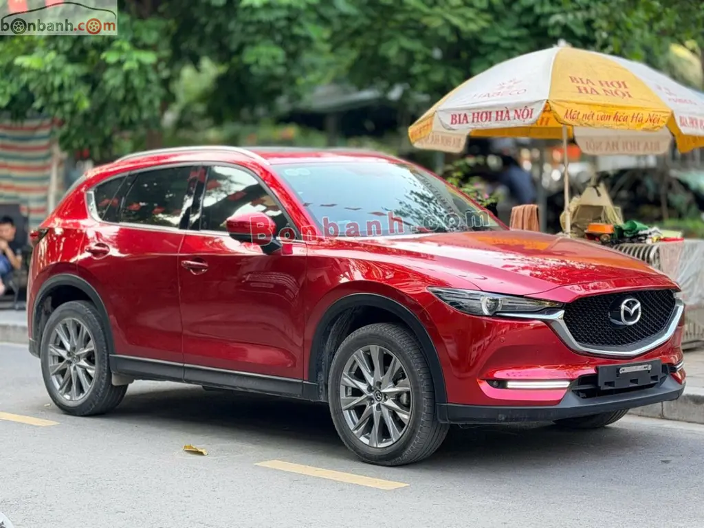 Hình ảnh số 2