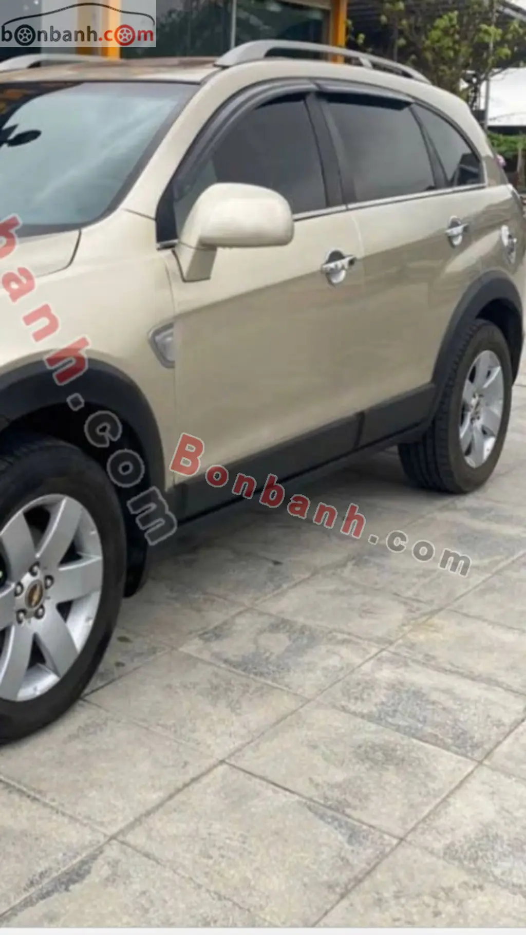 Hình ảnh số 2