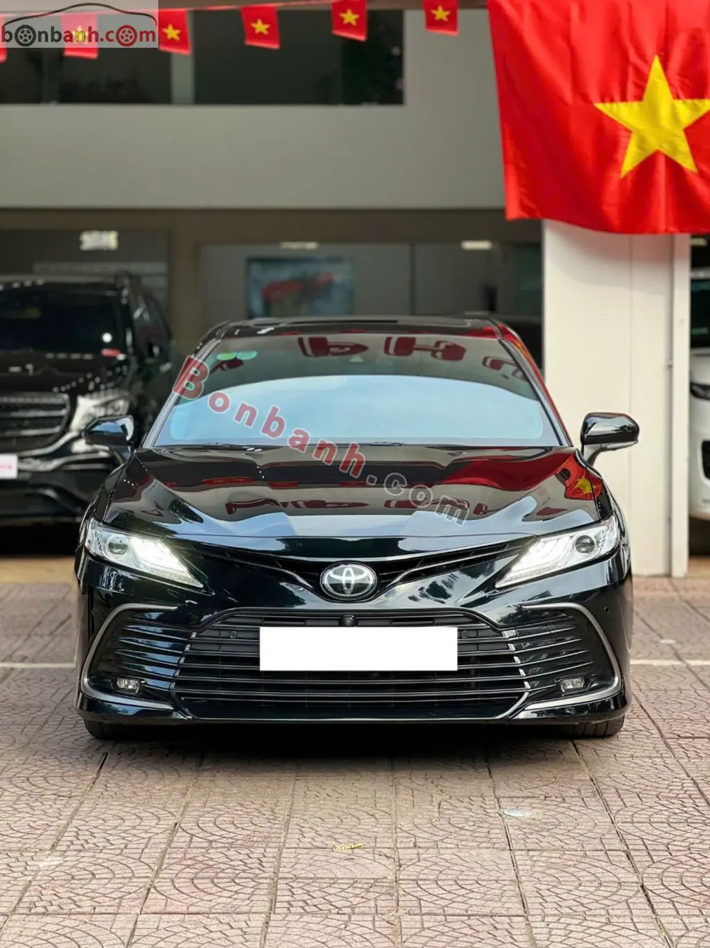 Hình ảnh số 2