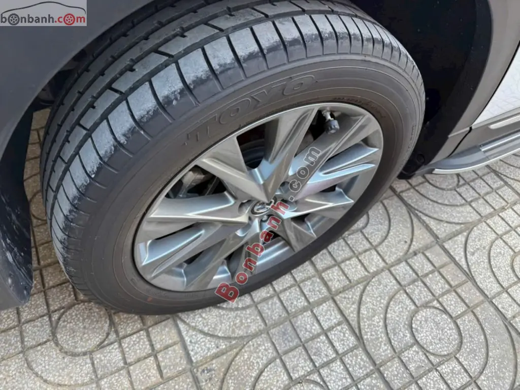 Hình ảnh số 8