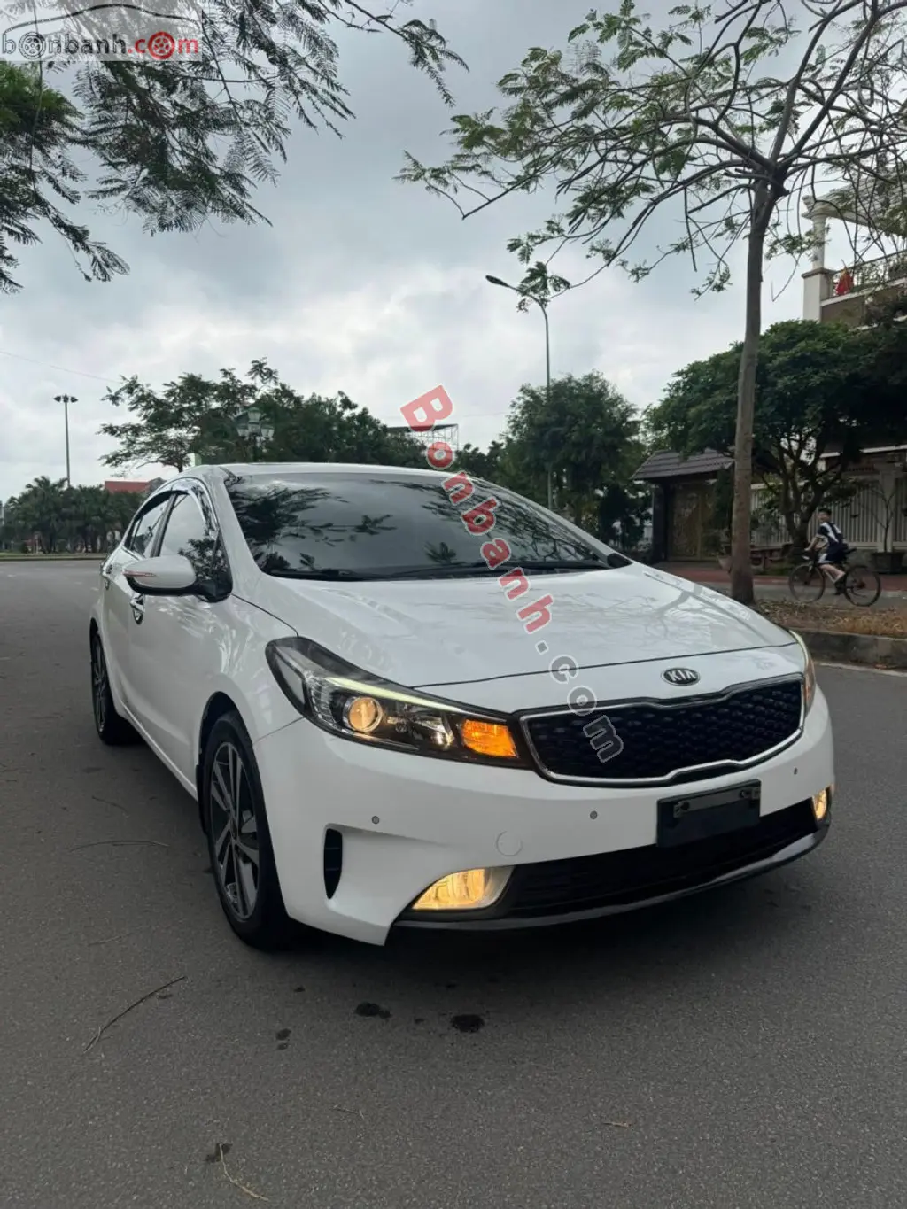 Hình ảnh số 2