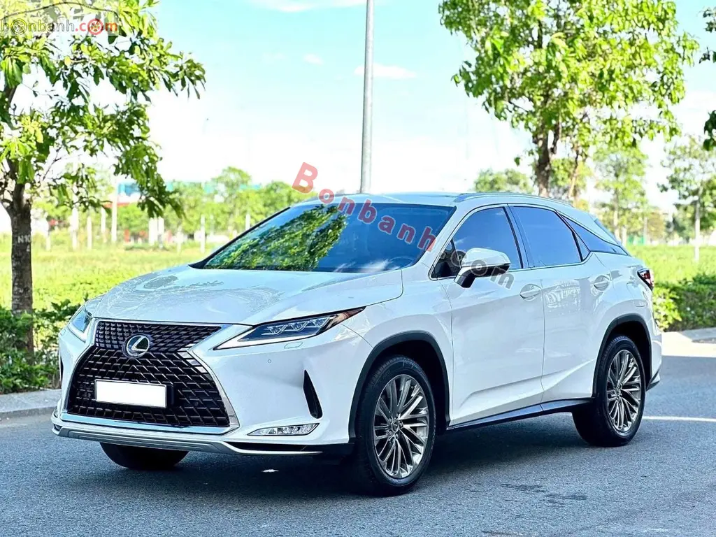 Hình ảnh số 2