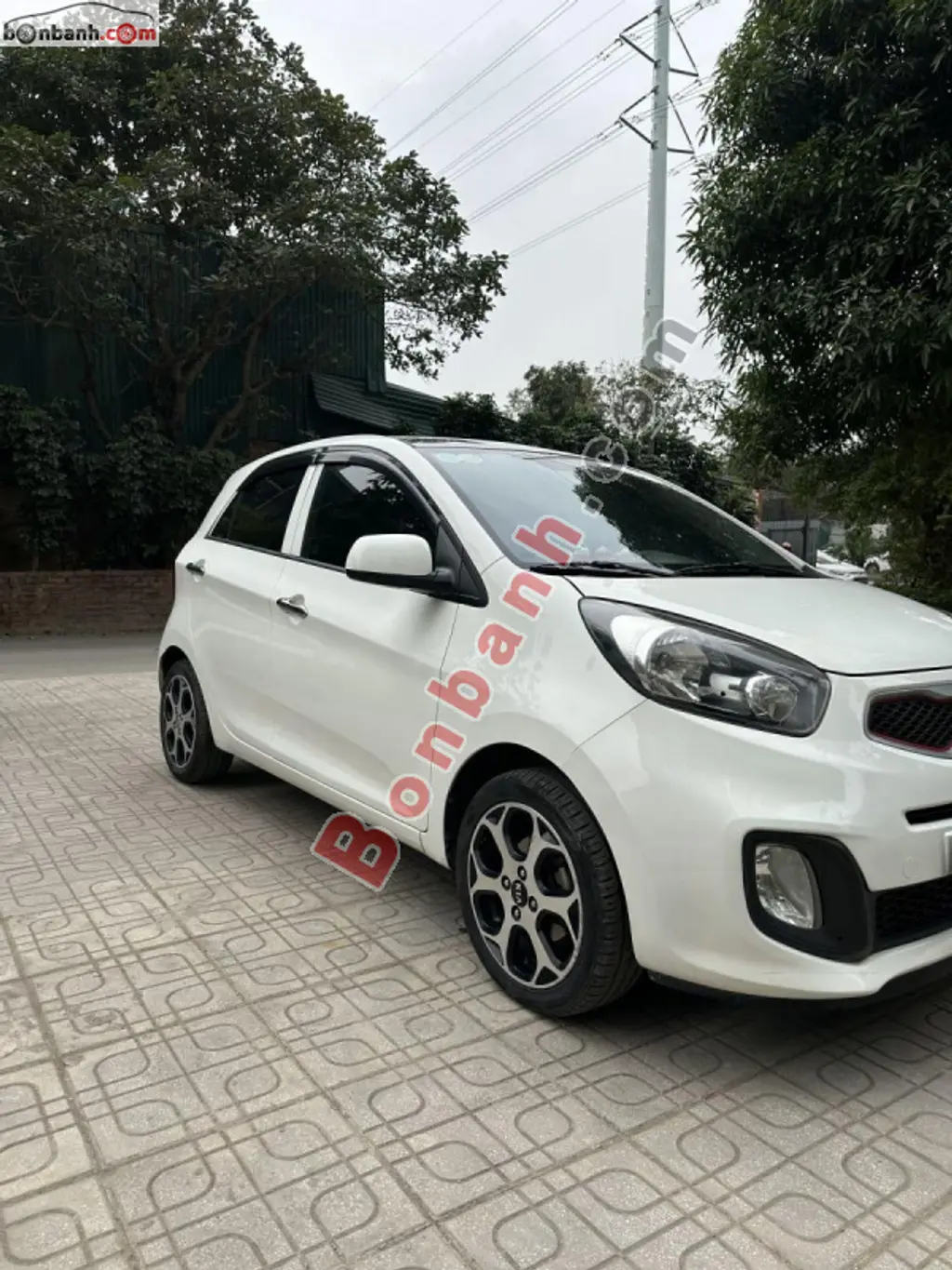 Hình ảnh số 2