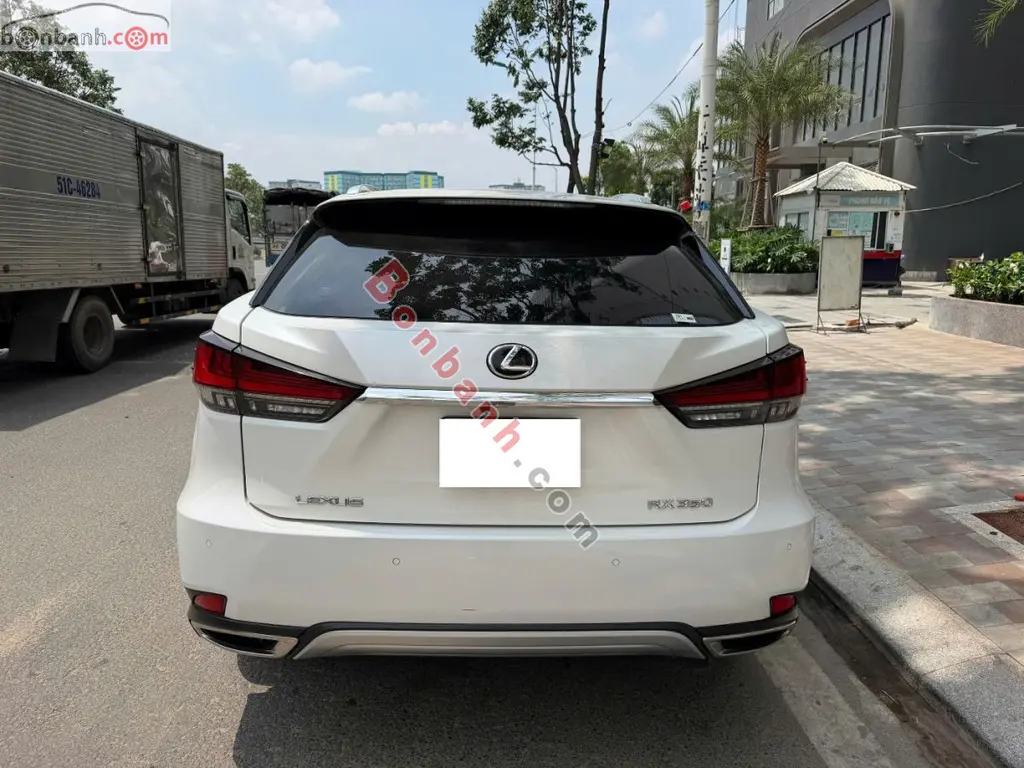 Hình ảnh số 5