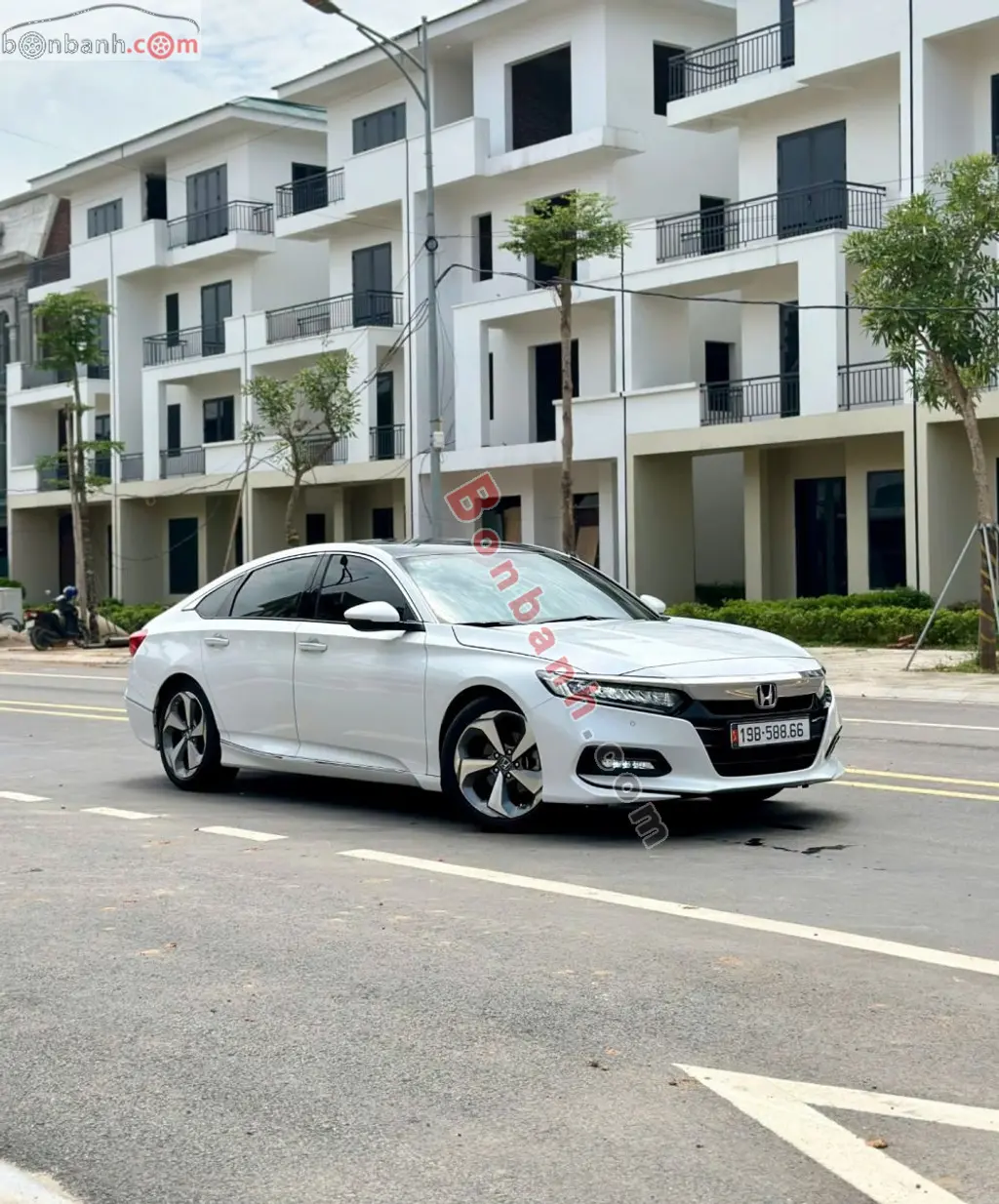 Hình ảnh số 3