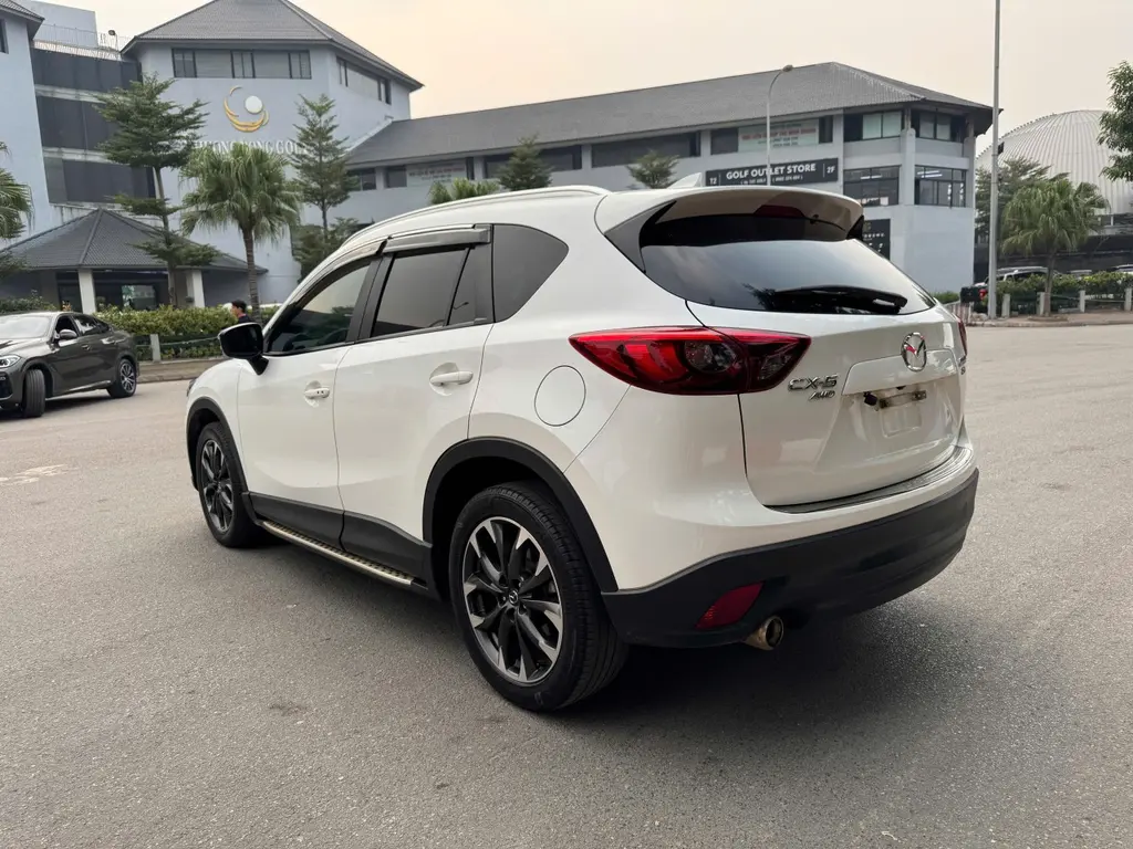 Hình ảnh số 4
