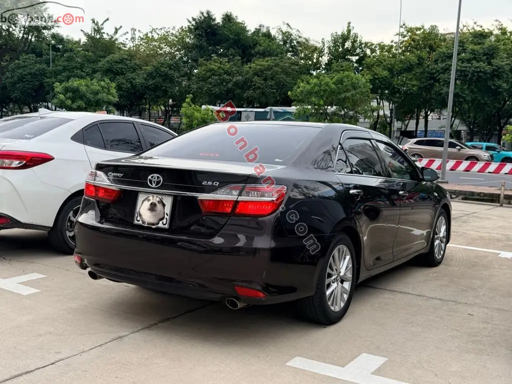 Hình ảnh số 3