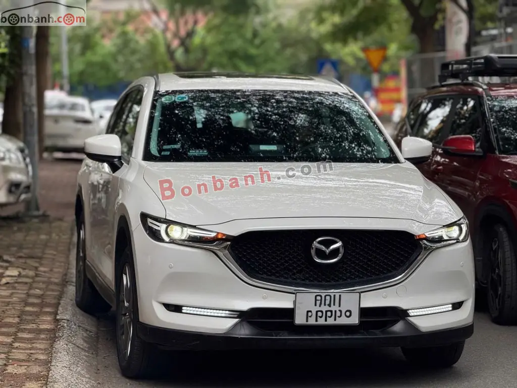 Hình ảnh số 2