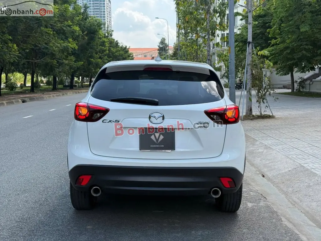 Hình ảnh số 5