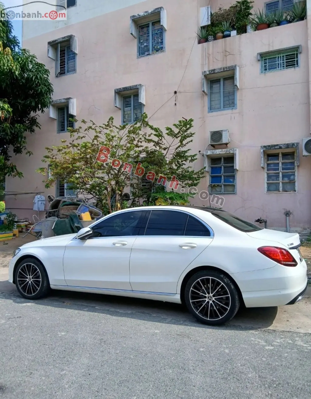 Hình ảnh số 3