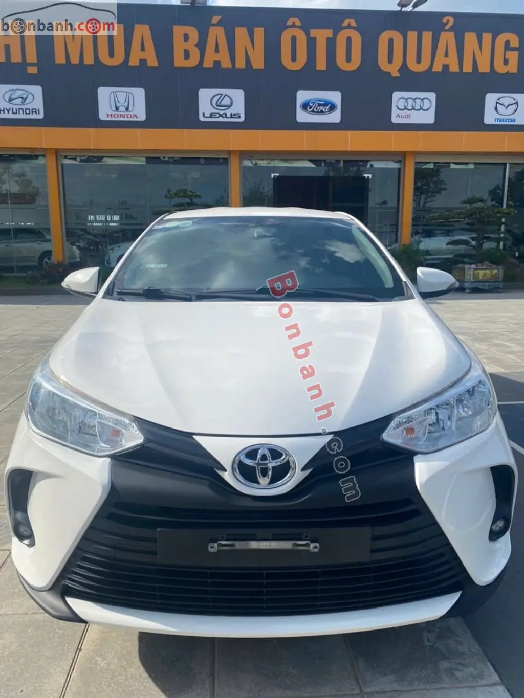 Hình ảnh số 2