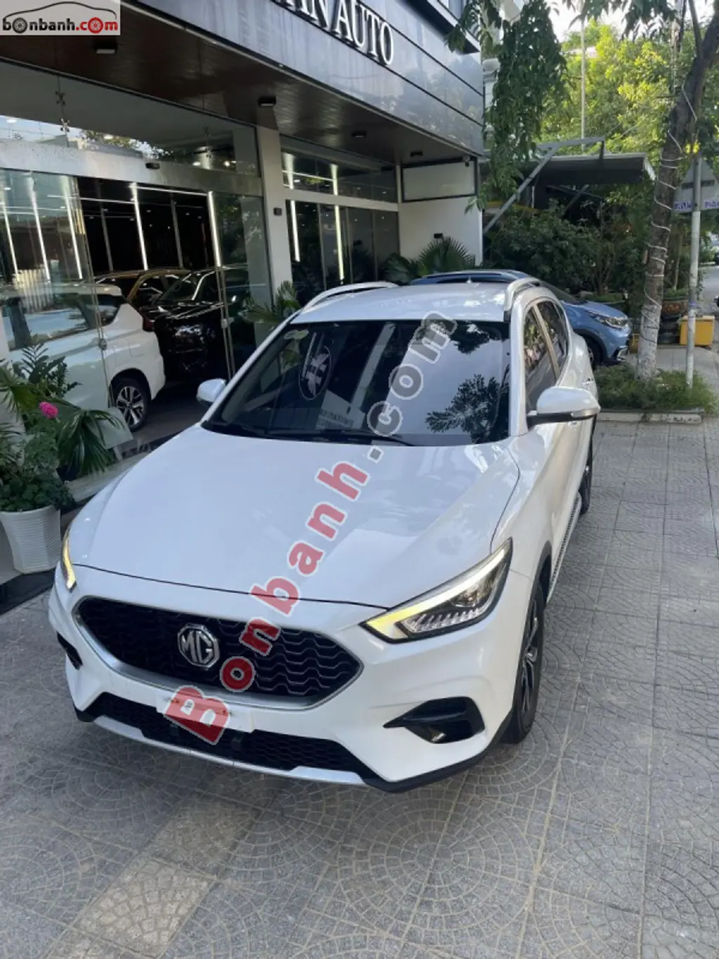 Hình ảnh số 2