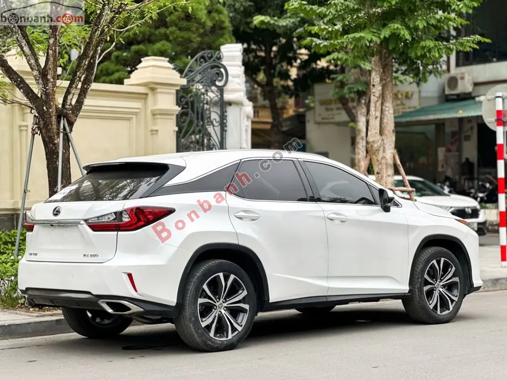 Hình ảnh số 3