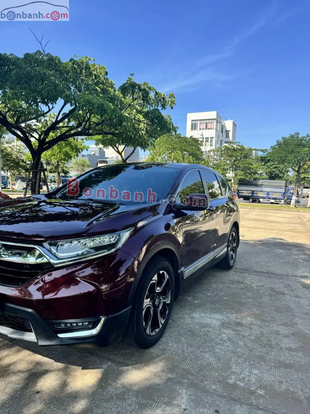 Hình ảnh số 2