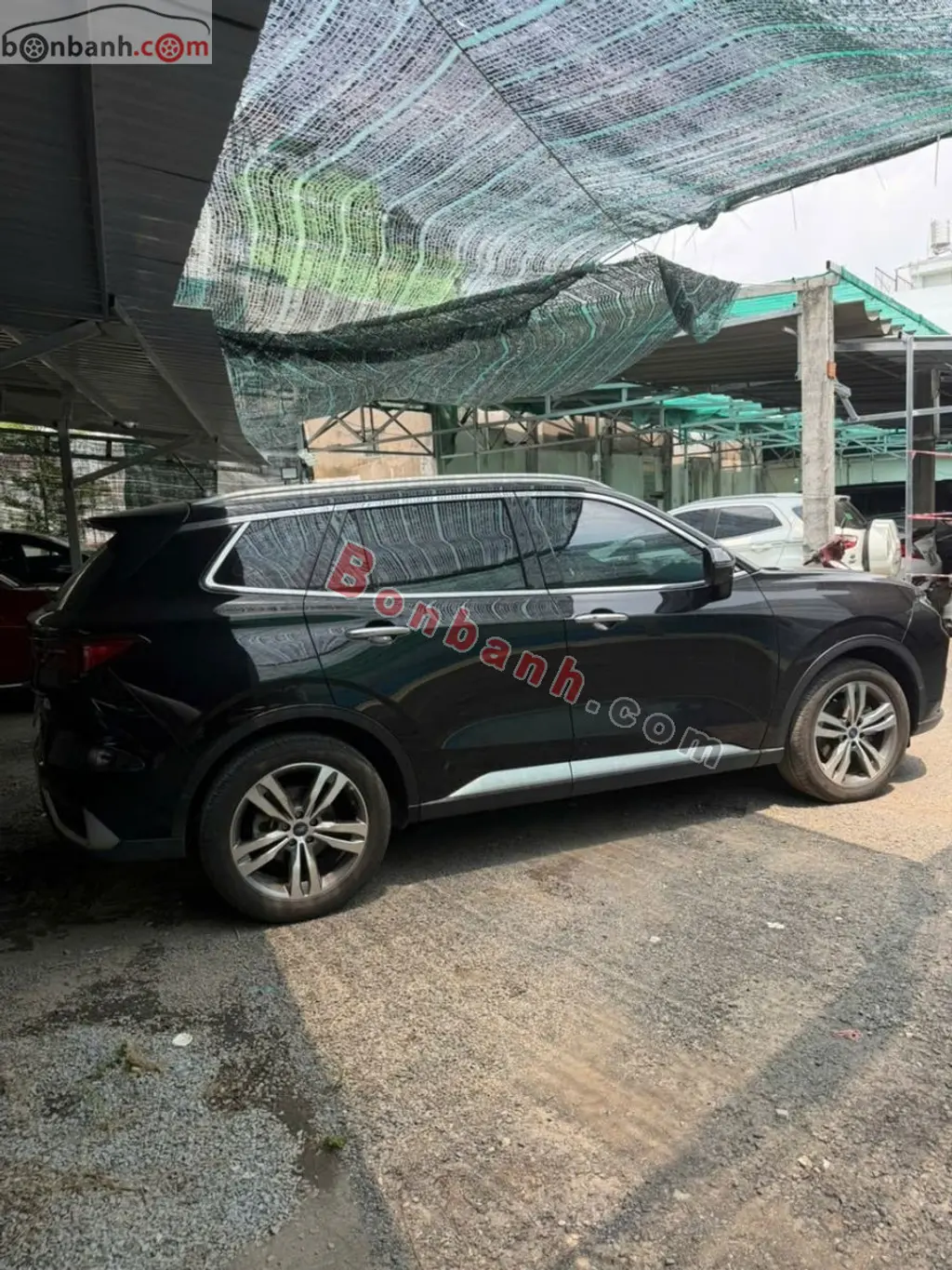 Hình ảnh số 3