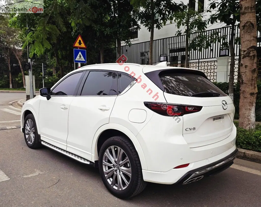 Hình ảnh số 4