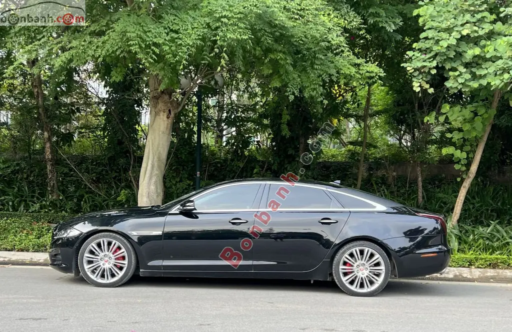 Hình ảnh số 3