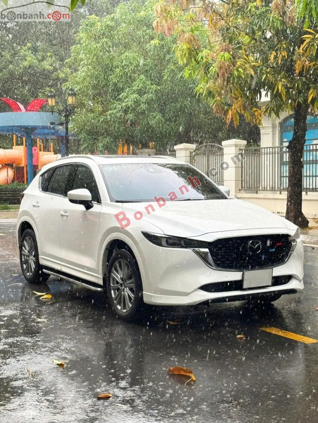 Hình ảnh số 2