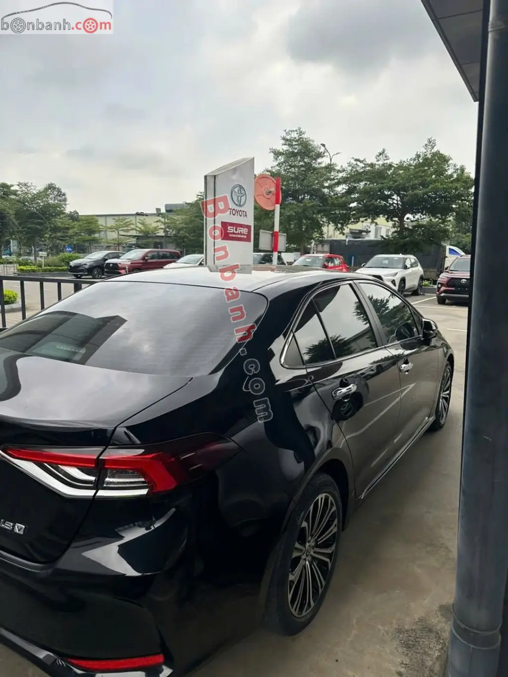 Hình ảnh số 6