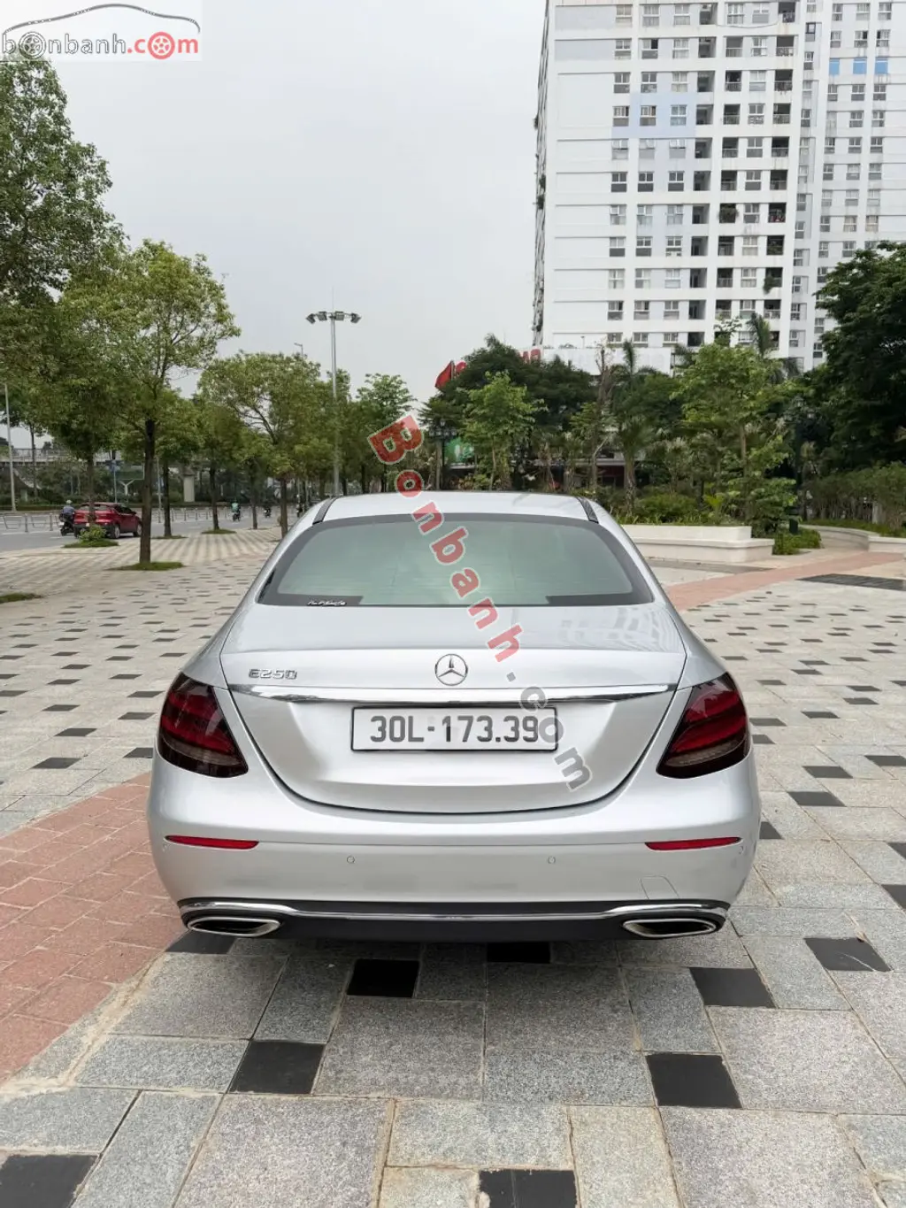Hình ảnh số 2