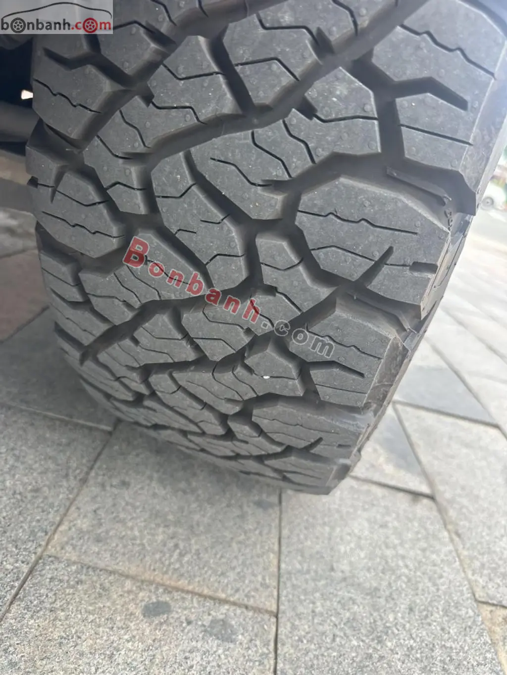 Hình ảnh số 8