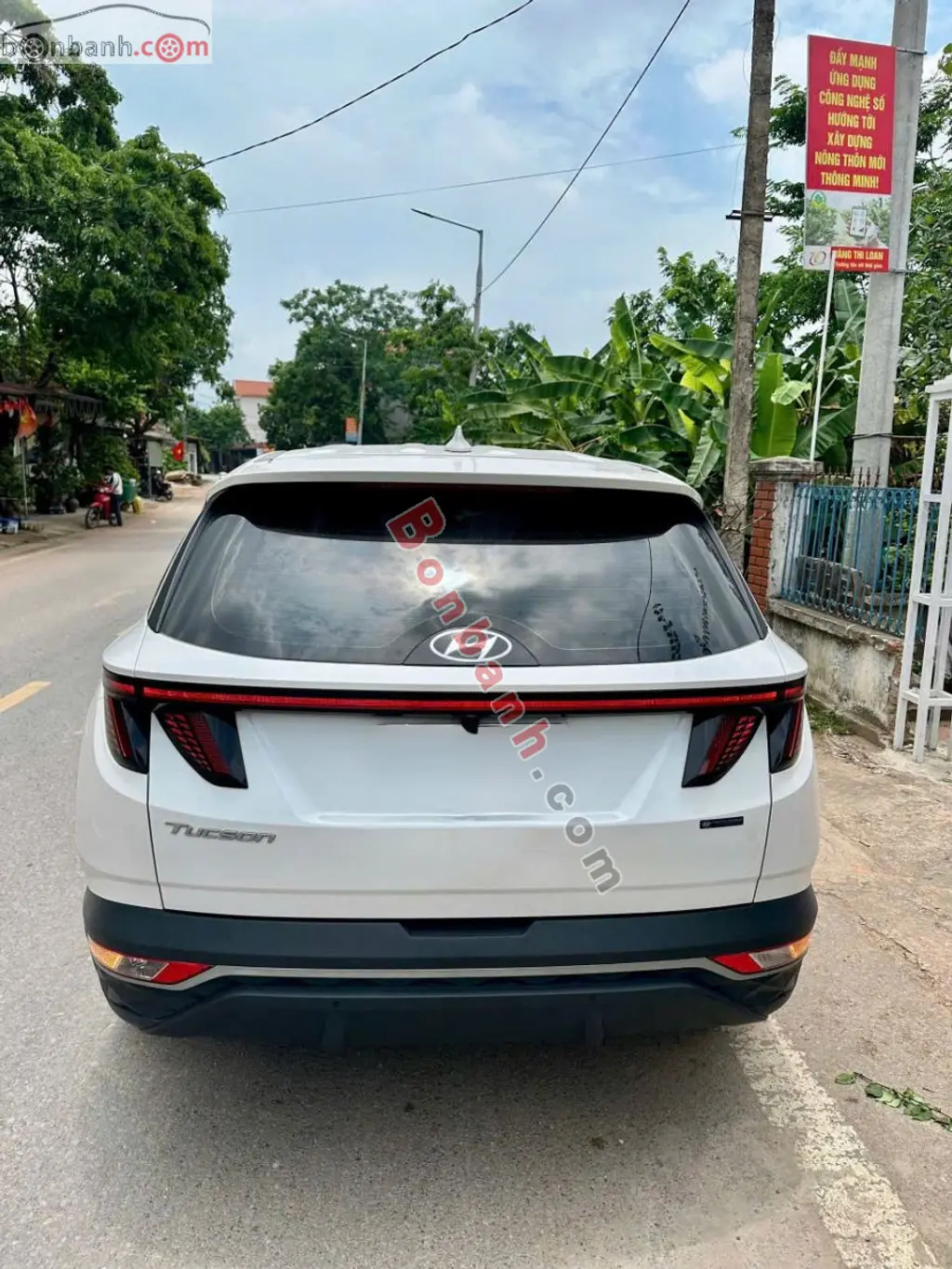 Hình ảnh số 3