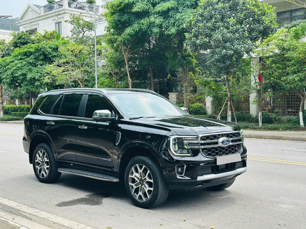 Hình ảnh số 2