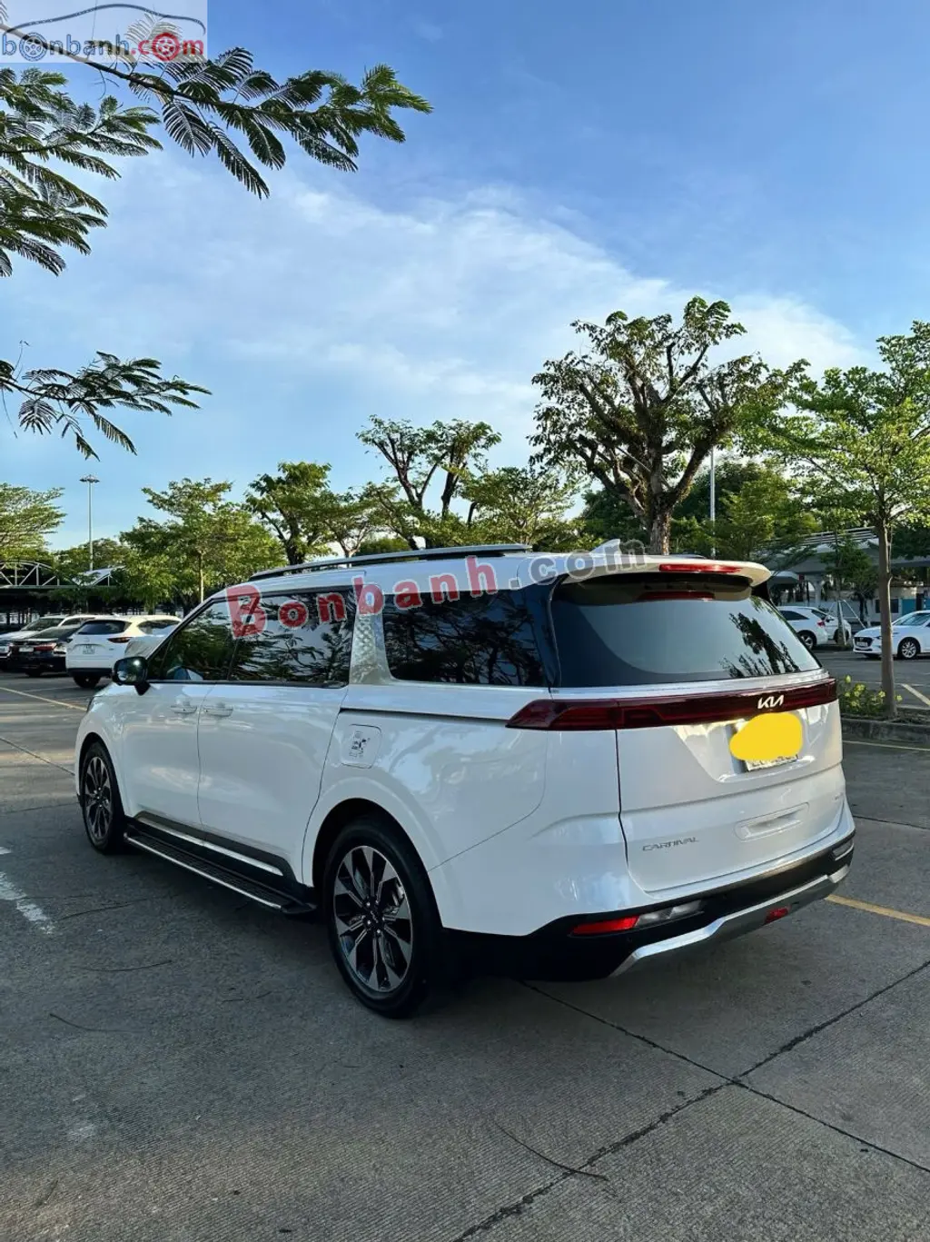Hình ảnh số 2